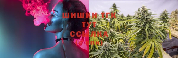 2c-b Вяземский