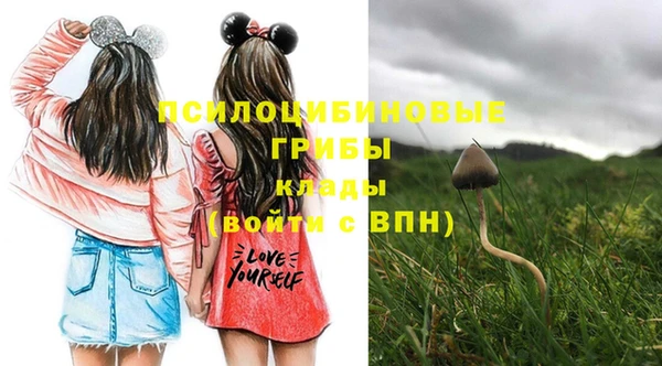 гидропоника Володарск